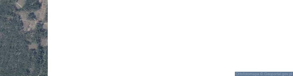 Zdjęcie satelitarne Nowy Zieluń ul.